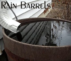 rainbarrels.jpg